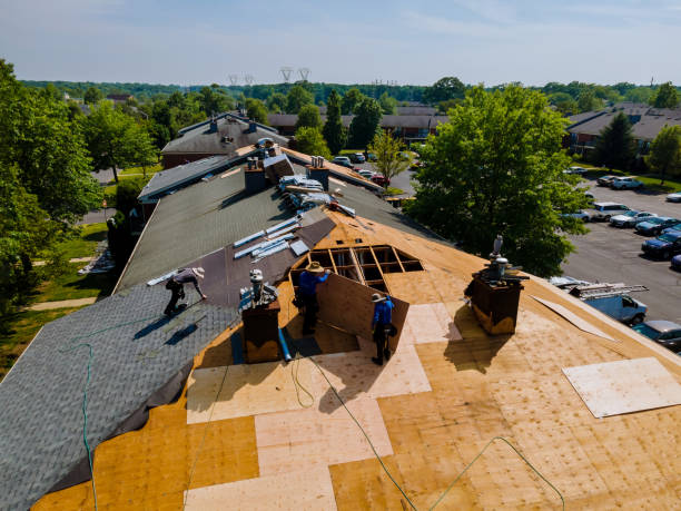 24/7 Emergency Roofing experts in Hornbeak, TN